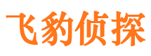 龙凤市婚姻出轨调查